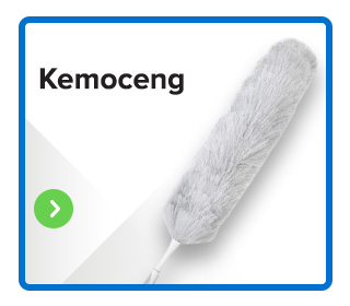 Kemoceng