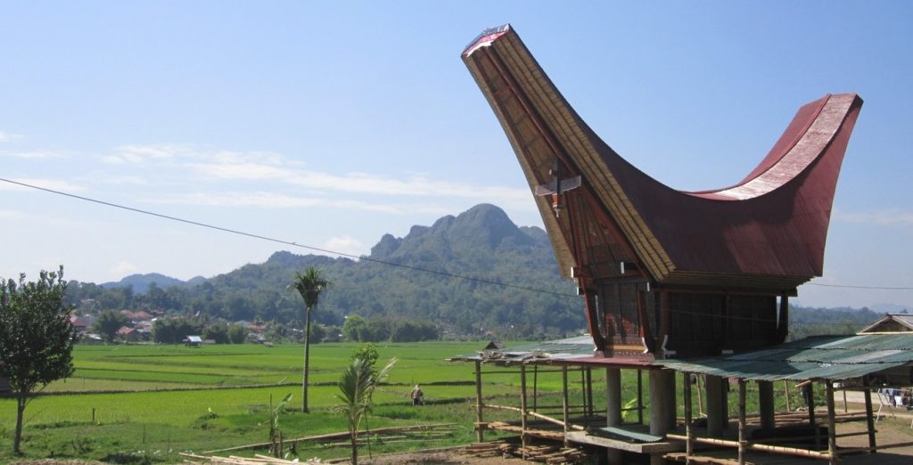 IMAGE_TAHU_Rmh-Tongkonan-2_1745469195