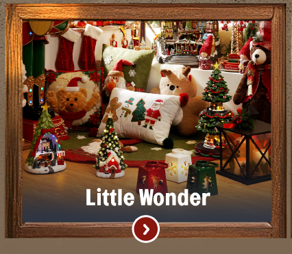Little Wonder