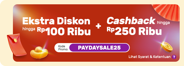Voucher PAYDAYSALE25