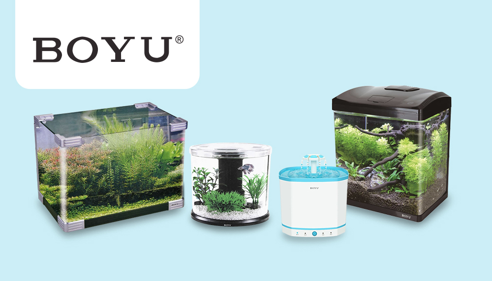 benefits of carrots for dogs