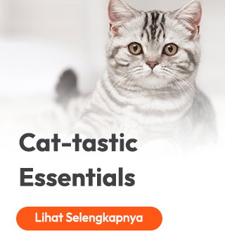 cattastic essentials