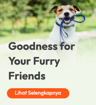 goodness for your furry friends