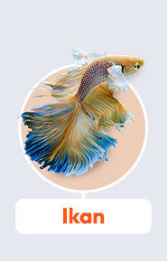 ikan