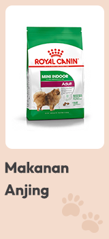 makanan anjing