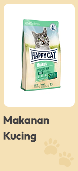 makanan kucing