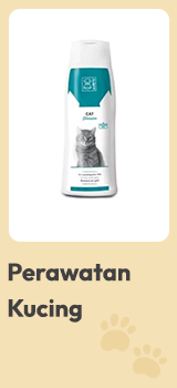 perawatan kucing