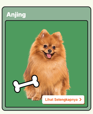 Cari Kebutuhan Anjing