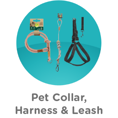 Pet Collar Harness and Leash